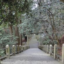 参拝を終えて帰ります