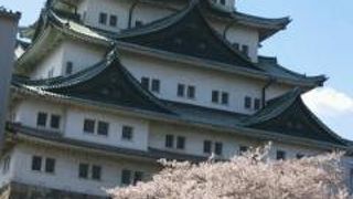 やっぱり金の鯱