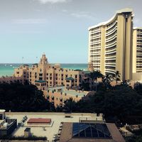 写真右の背の高い方です、