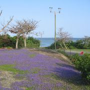 市街地に近い所にある素晴らしい海岸です。