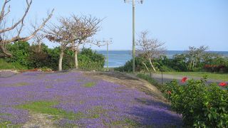 市街地に近い所にある素晴らしい海岸です。
