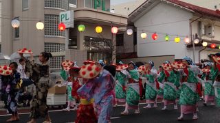 色とりどりに舞い咲き誇る 山形の花たち