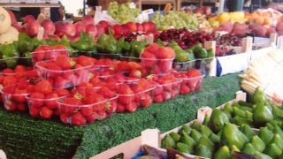 リアルト橋近くにある市場！