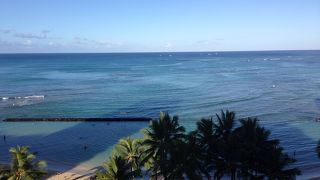 フラのショーも楽しめます