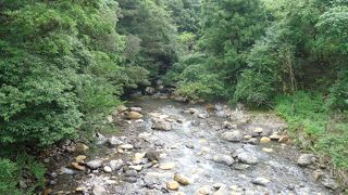 自然あふれる場所です。