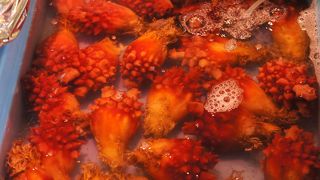 豊かな三陸の海の幸