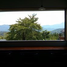 この日はあいにく富士山が拝めませんでした