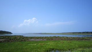 自然が多い砂州。