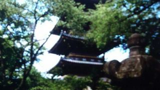 上野動物園の中