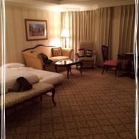 広い方のお部屋です。左手前にベッドがもう1台あります。