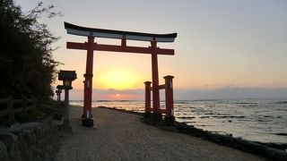 ビロウ樹の中の神社。元宮を忘れずに。