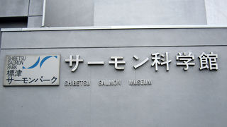 サケがメインの水族館。