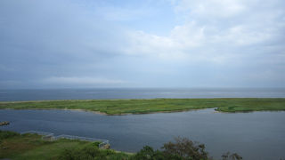 海の幸が豊富。