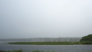 野付半島の特徴の一つ。