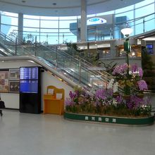 空港内二階出発口　展望デッキ方面