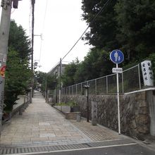 下からの眺め (右手が安居天神)