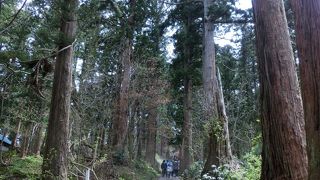 2446段あるみたいです！