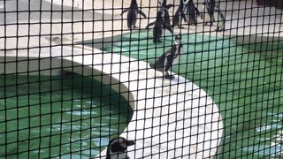 日本で3番目に古い動物園