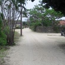西桟橋に保存地域から続いている道です
