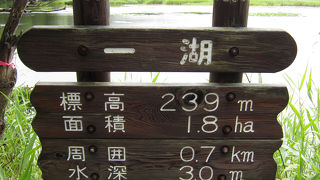 一湖へは高架木道へ気軽にアクセス。