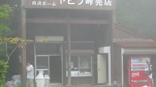 大山登山はここから