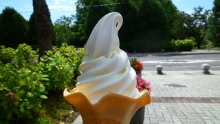 タダモノではないソフトクリーム