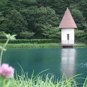 コバルト色の綺麗な池