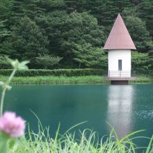 コバルト色の水がとても綺麗です