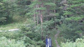 裏から「きぼっちの森」に入れます