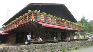 パン、サラダ、スープはいくらでも