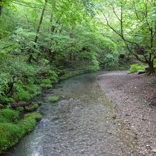大分川の源流だそうです。