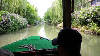 意外と面白かった伏見の十石舟