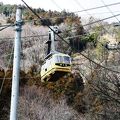 全長８３２ｍを約５分間で結んでいる宝登山（ほどさん）ロープウェイ