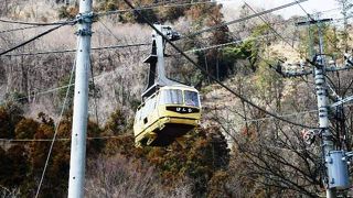 全長８３２ｍを約５分間で結んでいる宝登山（ほどさん）ロープウェイ