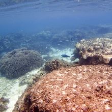 透明度はまあまあ