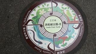 タイワンリスが可愛すぎます☆