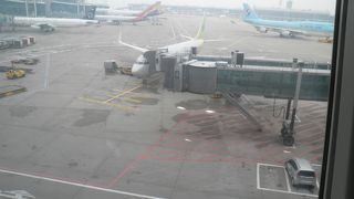 ビビンバを食べました