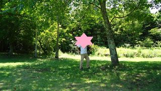 広い芝生でのんびりできます