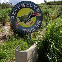 ゆっくり走ろうね