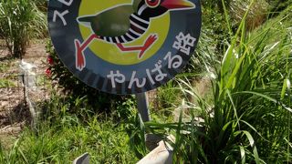 ゆっくり走ろう