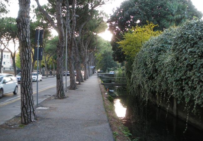 川の都の水路