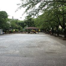 子どもの遊び場というより、高齢者の休憩場所