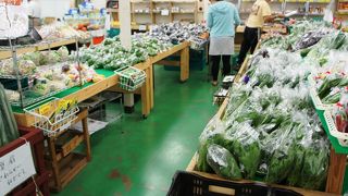 帰国組に直売店の新鮮野菜