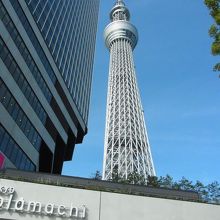 思ったより大きい。