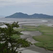 順天湾自然生態公園 (葦群落地)