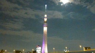 夜景も素晴らしい