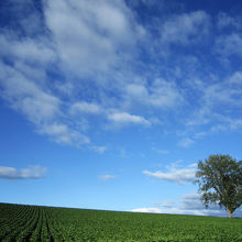 画になる場所。