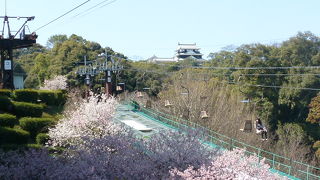 荷物はロッカーに預けます