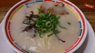 ぼんしゃん最高