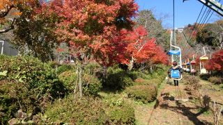 色々な楽しみ方がある天橋立